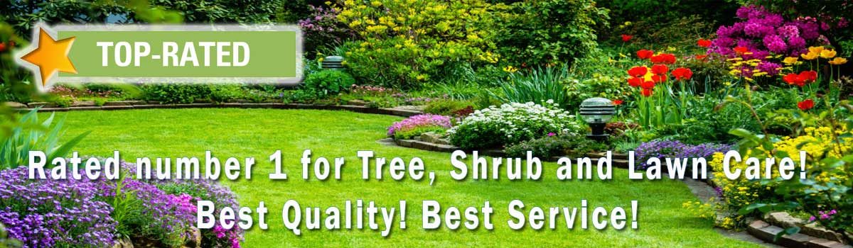 Go to: Environmmental Tree and Shrub Care